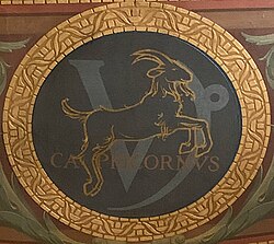 Capricorn The Zodiac's Ambitious Achiever